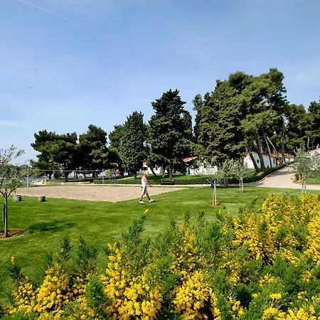 Galijot Plava Laguna *