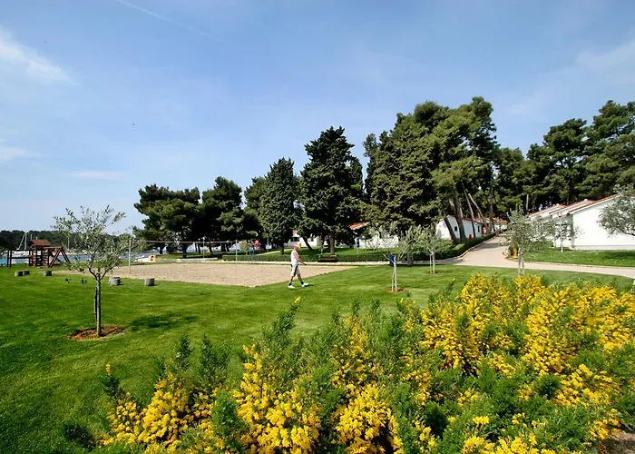 Galijot Plava Laguna *